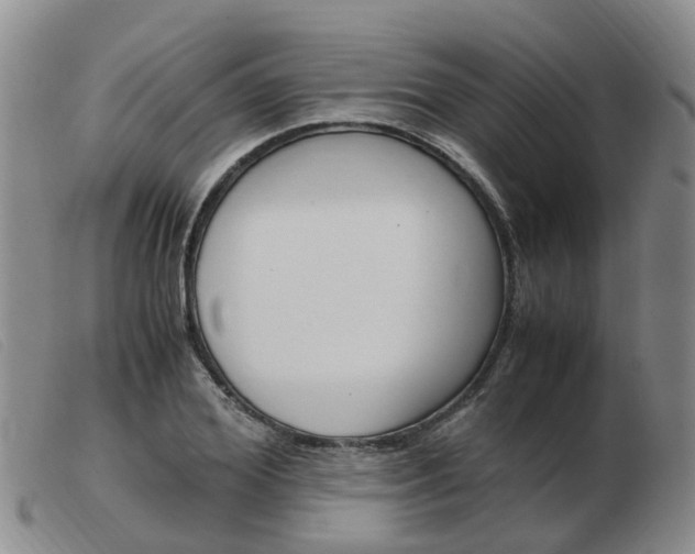 X0000103940980200809191144
