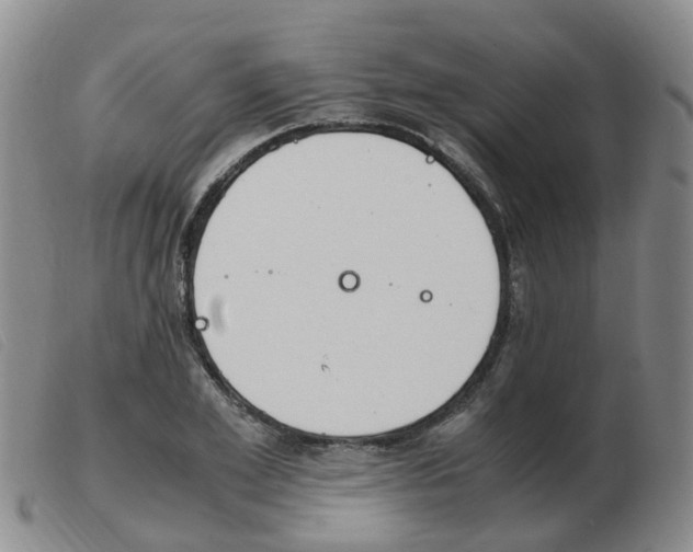 X0000103940981200809191144