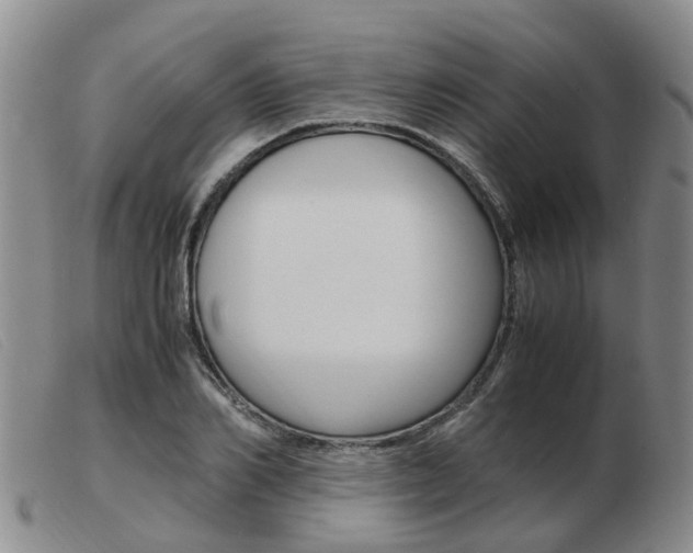 X0000103940982200809191144