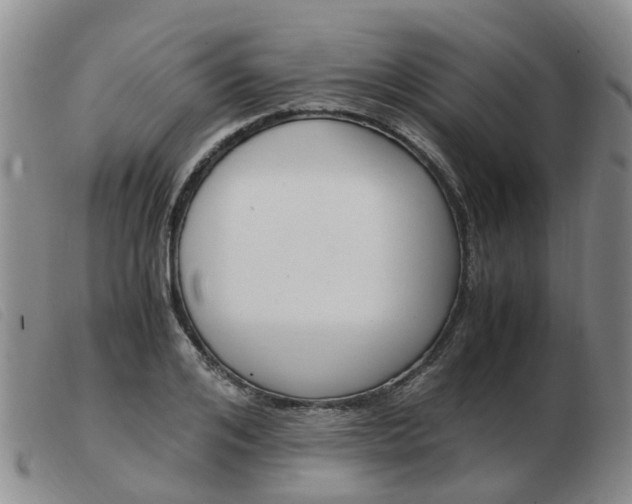 X0000103940984200809191144