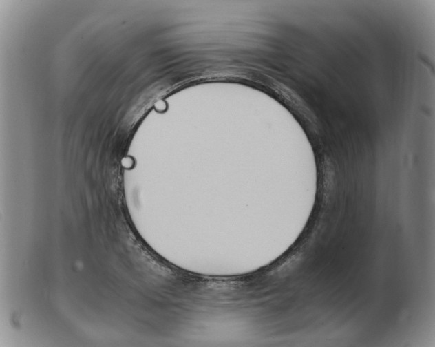 X0000103940985200809191144