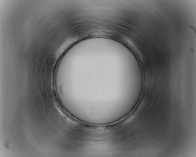 X0000103940986200809191144