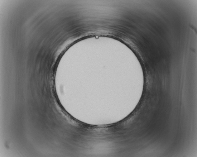 X0000103940989200809191144