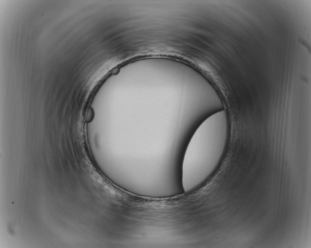 X0000103940990200809191144