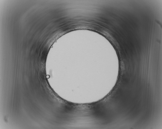 X0000103940993200809191143