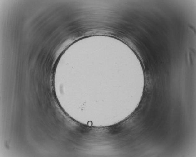 X0000103940997200809191143