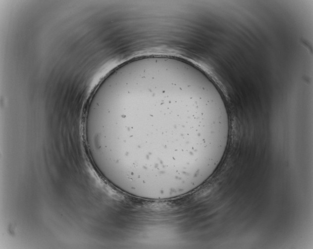 X0000103940998200809191143