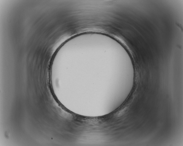 X0000103940999200809191143