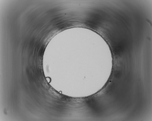 X0000103941001200809191143