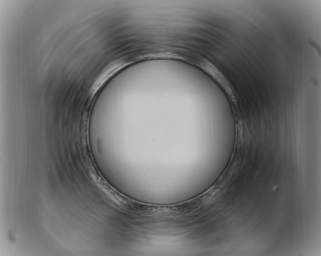 X0000103941002200809191143