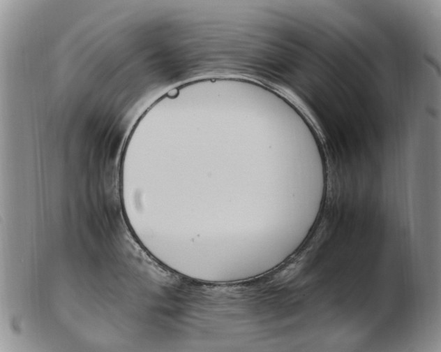 X0000103941004200809191143
