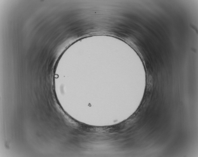 X0000103941005200809191143
