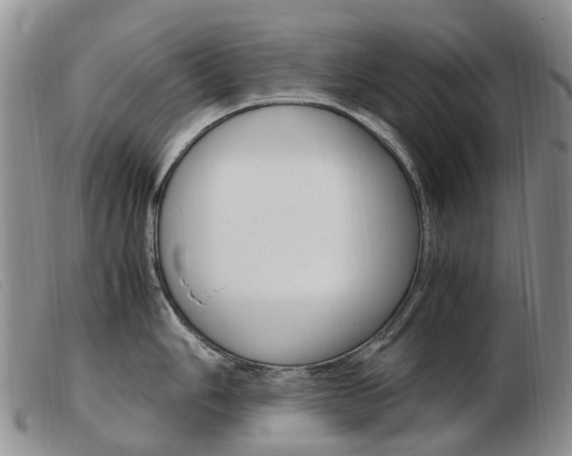 X0000103941006200809191143