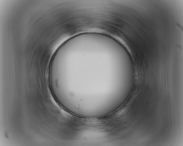 X0000103941007200809191143
