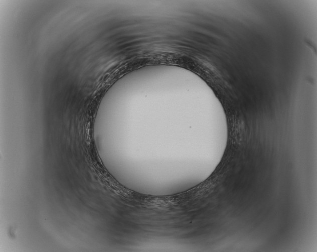 X0000103941013200809191142