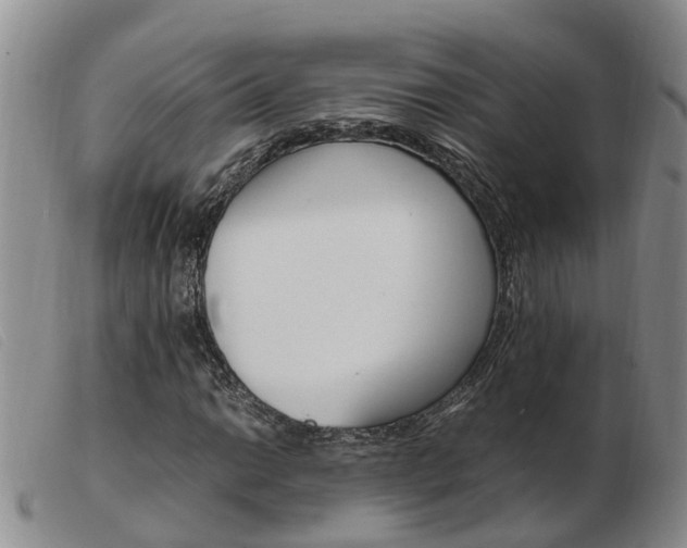 X0000103941014200809191142