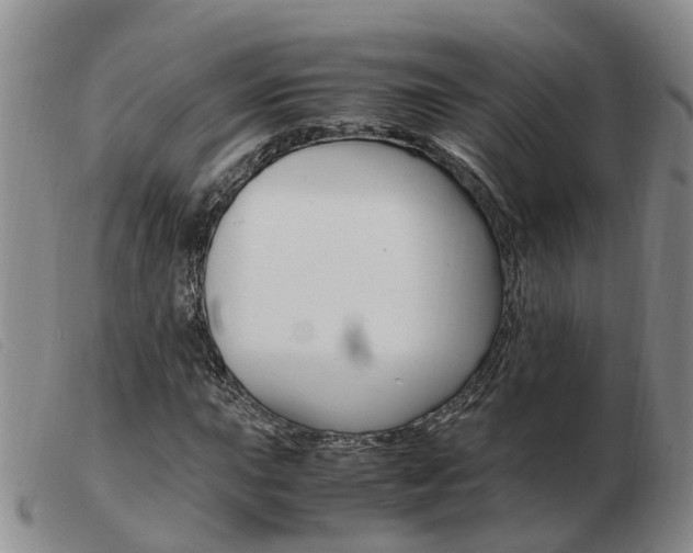 X0000103941015200809191143
