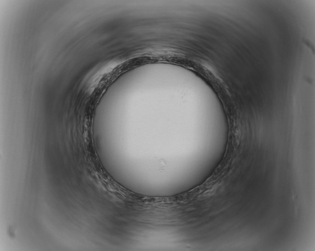 X0000103941016200809191143