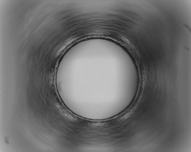 X0000103941017200809191143