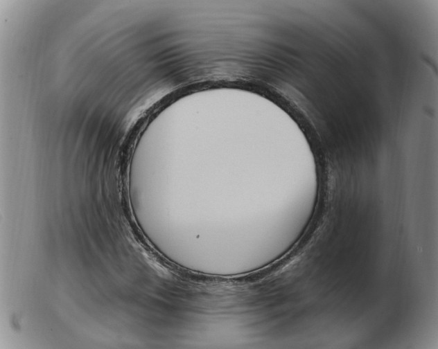 X0000103941018200809191143