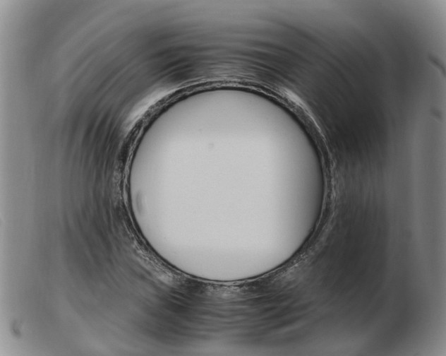 X0000103941019200809191143