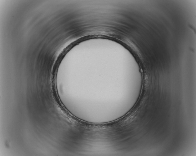 X0000103941020200809191143