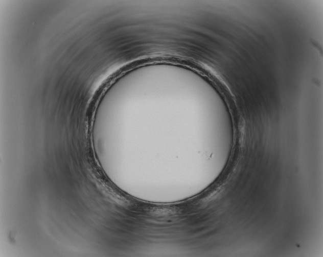 X0000103941021200809191143