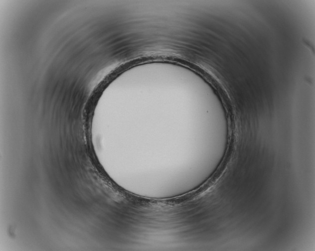 X0000103941022200809191143