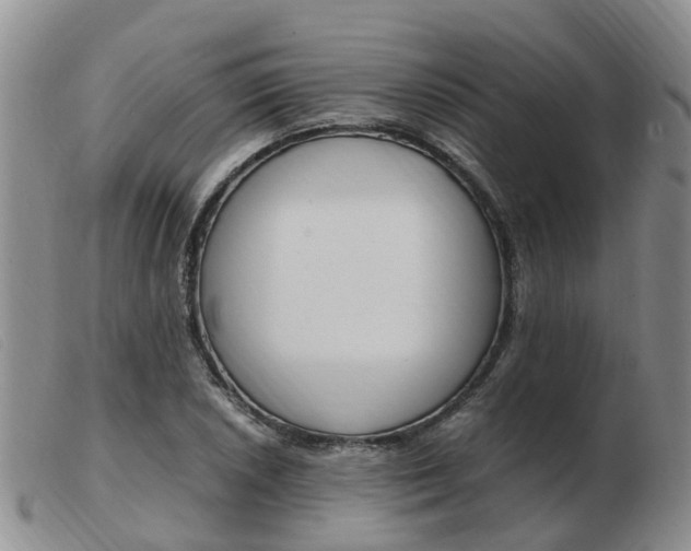 X0000103941026200809191143