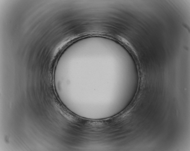 X0000103941027200809191143