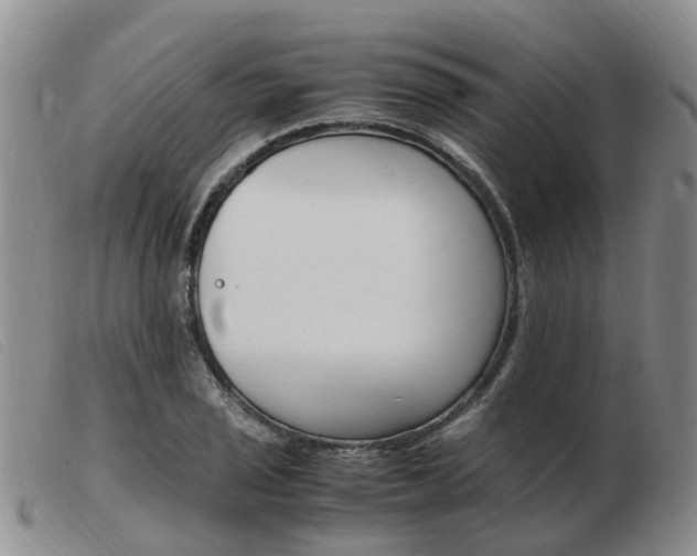X0000103941029200809191143