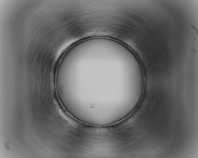 X0000103941030200809191143