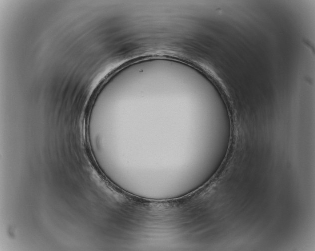 X0000103941032200809191143