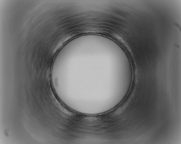 X0000103941033200809191143