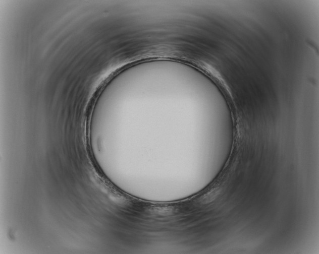 X0000103941035200809191143