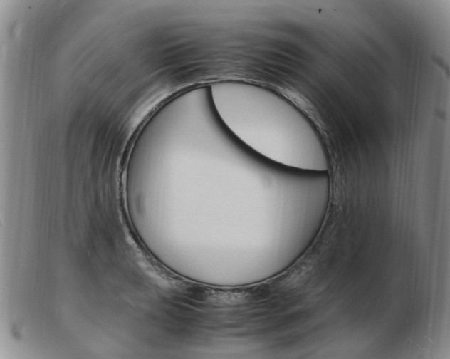 X0000103941039200809191143
