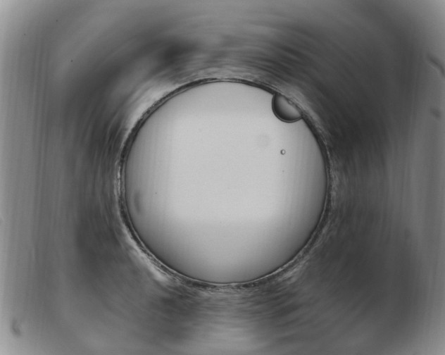 X0000103941040200809191143