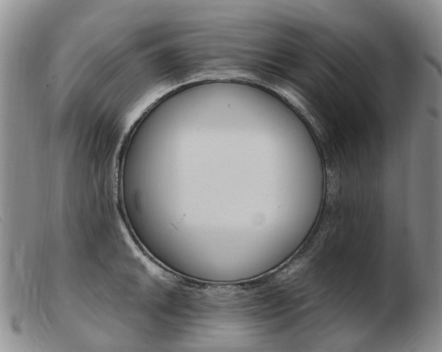 X0000103941046200809191143
