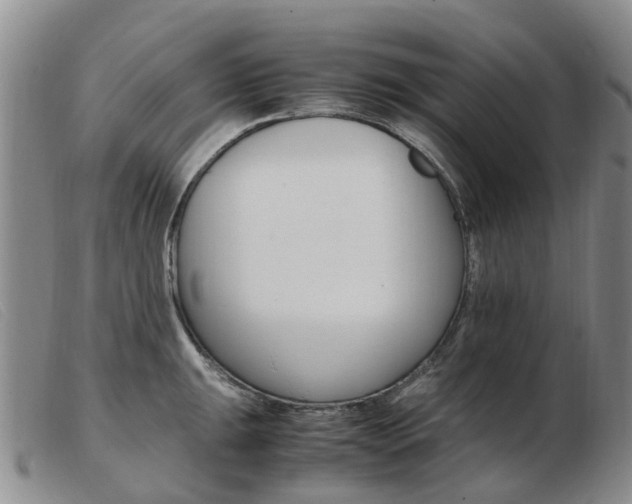 X0000103941047200809191143