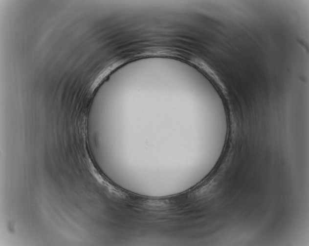 X0000103941049200809191143
