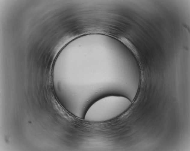 X0000103941052200809191143