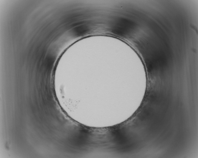 X0000103941053200809191143