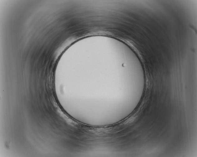 X0000103941054200809191143