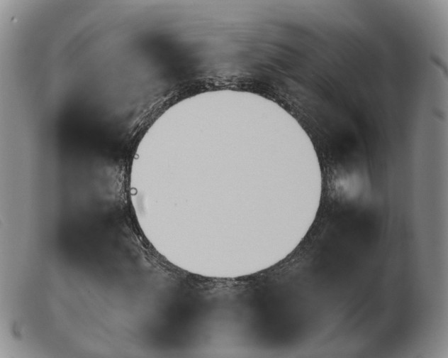 X0000103941060200809191142