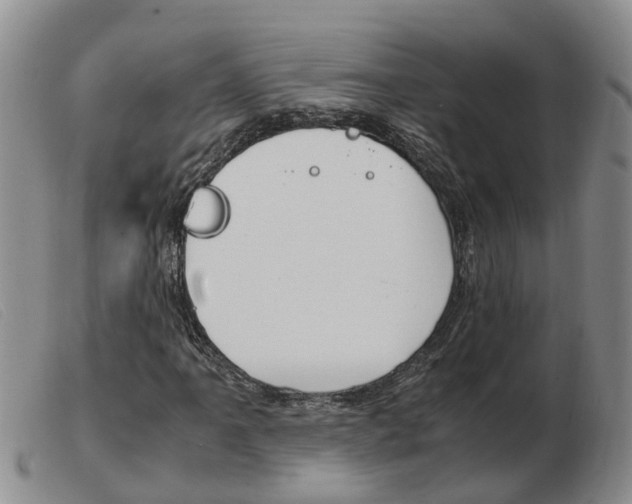 X0000103941061200809191142