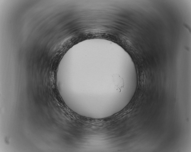 X0000103941062200809191142