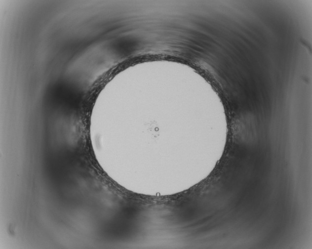 X0000103941064200809191142
