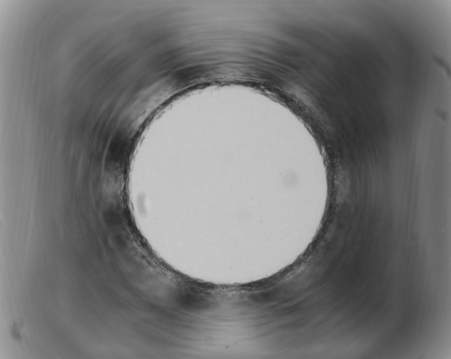 X0000103941065200809191142