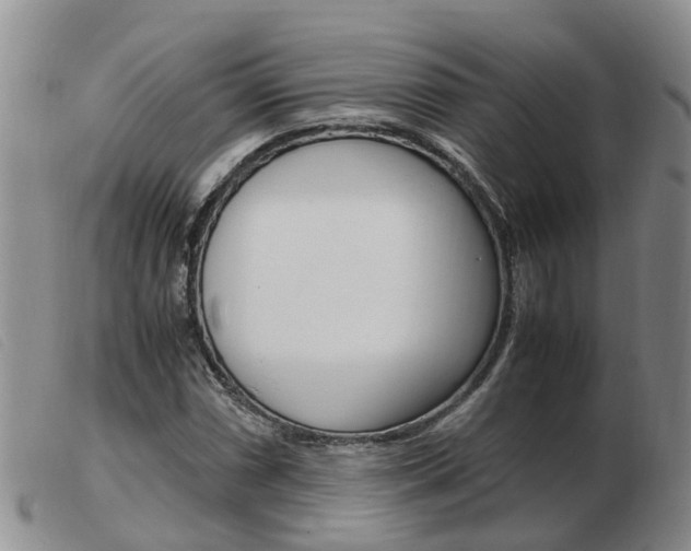 X0000103941066200809191142