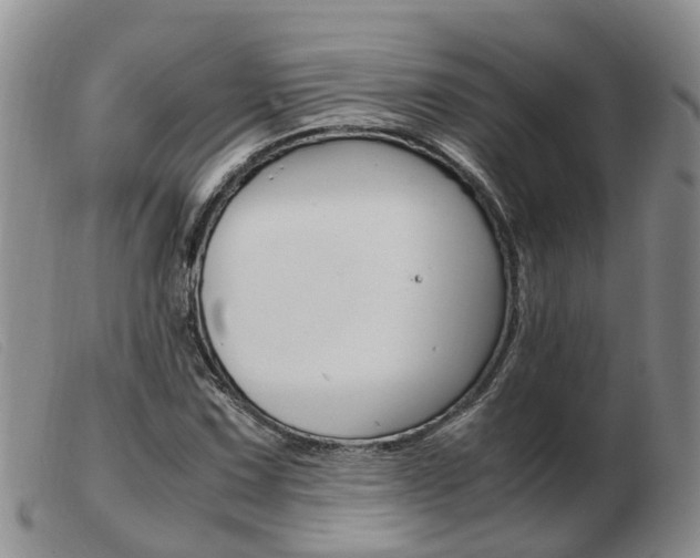X0000103941067200809191142